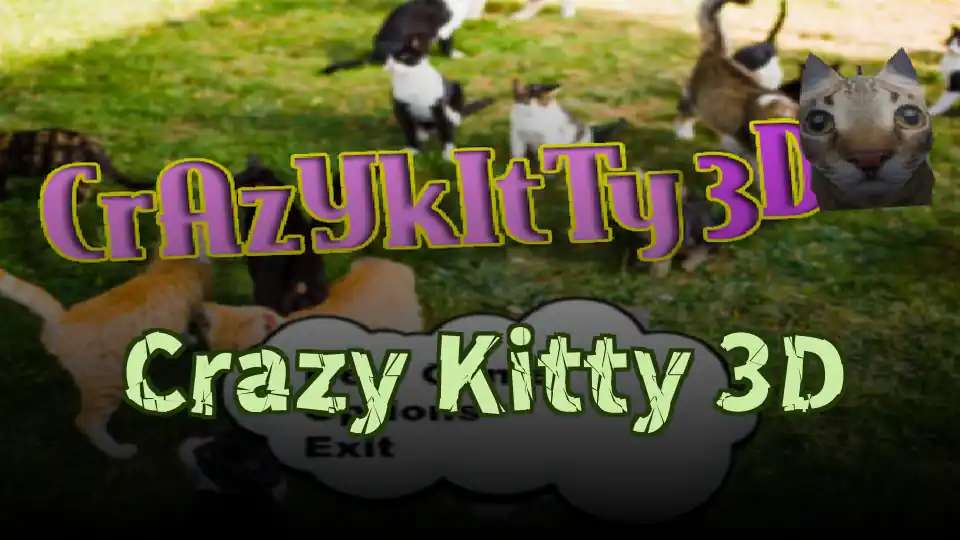 Crazy Kitty 3D
