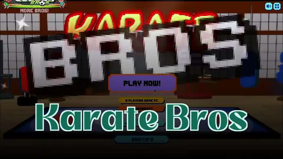 Karate Bros