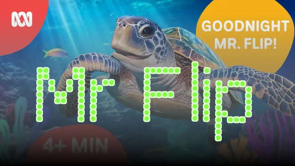 Mr Flip